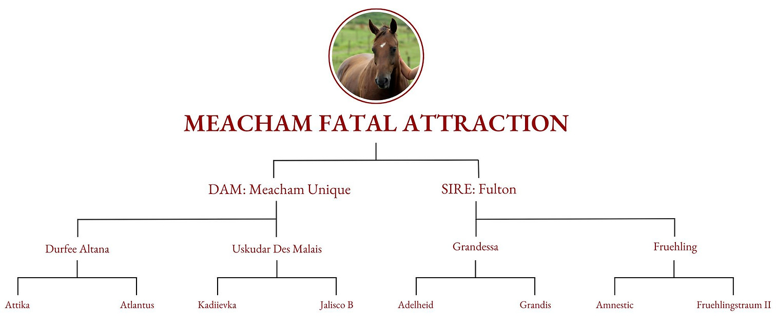 Meacham Fatal Attraction.jpg