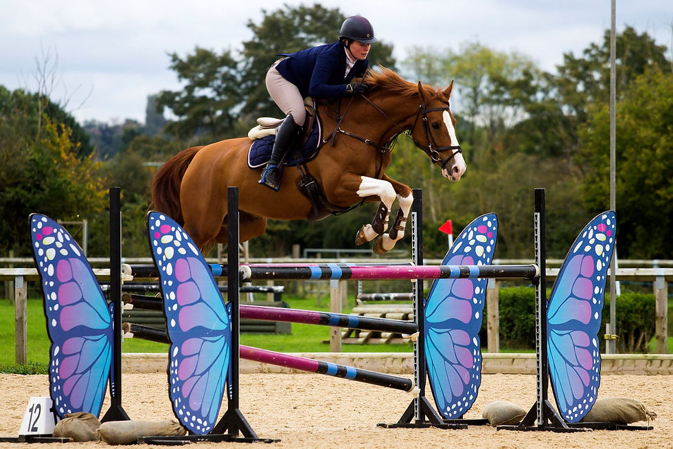 JCH Sport Horses