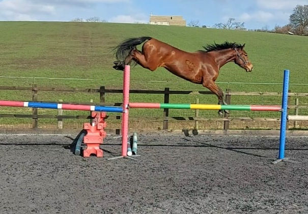 WhatsApp Image 2023-04-01 at 14.48.00.jpeg