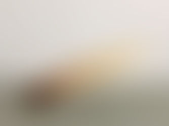 Symbiosis - Kunst zwischen Mensch und Natur. Zentrum für Gegenwartskunst im Glaspalast, Augsburg, 29.11.2025