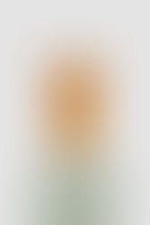 Vom Keimen und Wachsen. Einzelausstellung, Galerie Löhrl, Mönchengladbach. 03.09. - 28.10.2023