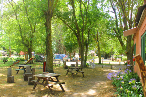 camping-11-2000x1333.jpg