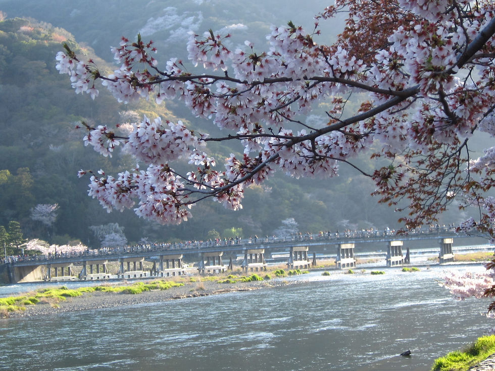 渡月橋3
