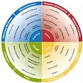 insights team effectiveness