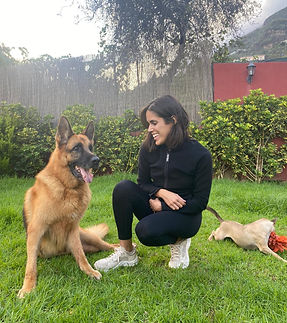 WhatsApp Image 2025-04-01 at 20.55.35 (2).jpeg