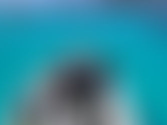 3/28 1日コース　久々の晴れ