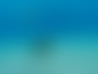 ウミガメスイムからの海洋渓谷🤿