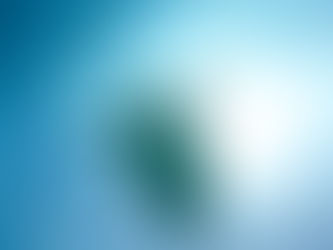 3/29 久々のウミガメ