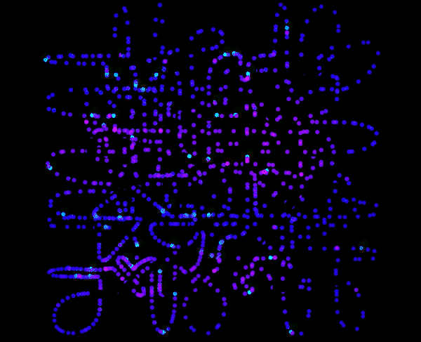 TESTGIF3.gif