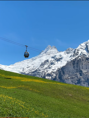 Screenshot 2022-11-17 at 9.57.30 AM.png