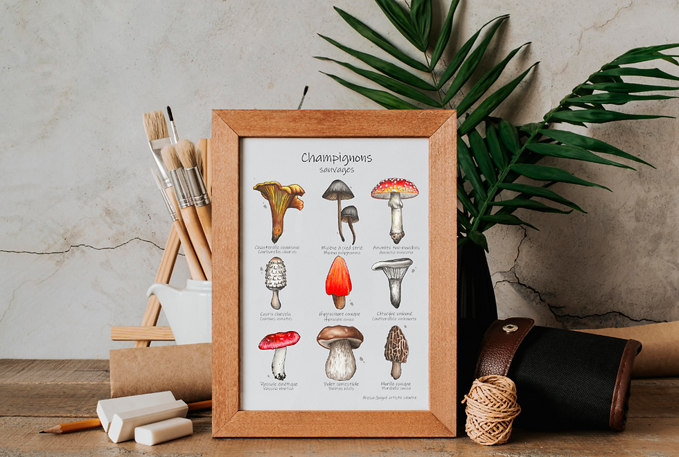 Miniature : Affiche Champignons sauvages