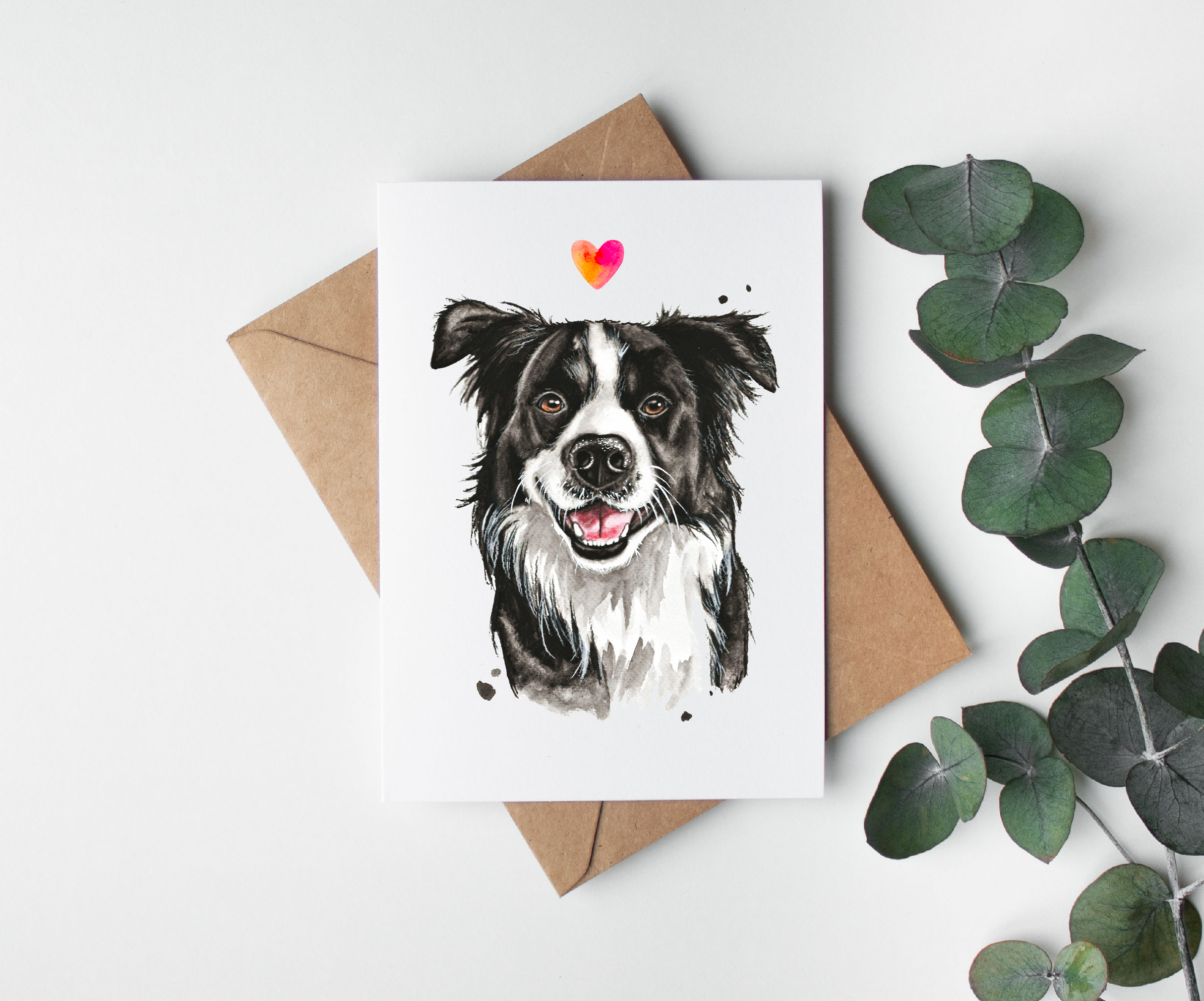 Carte Border Collie