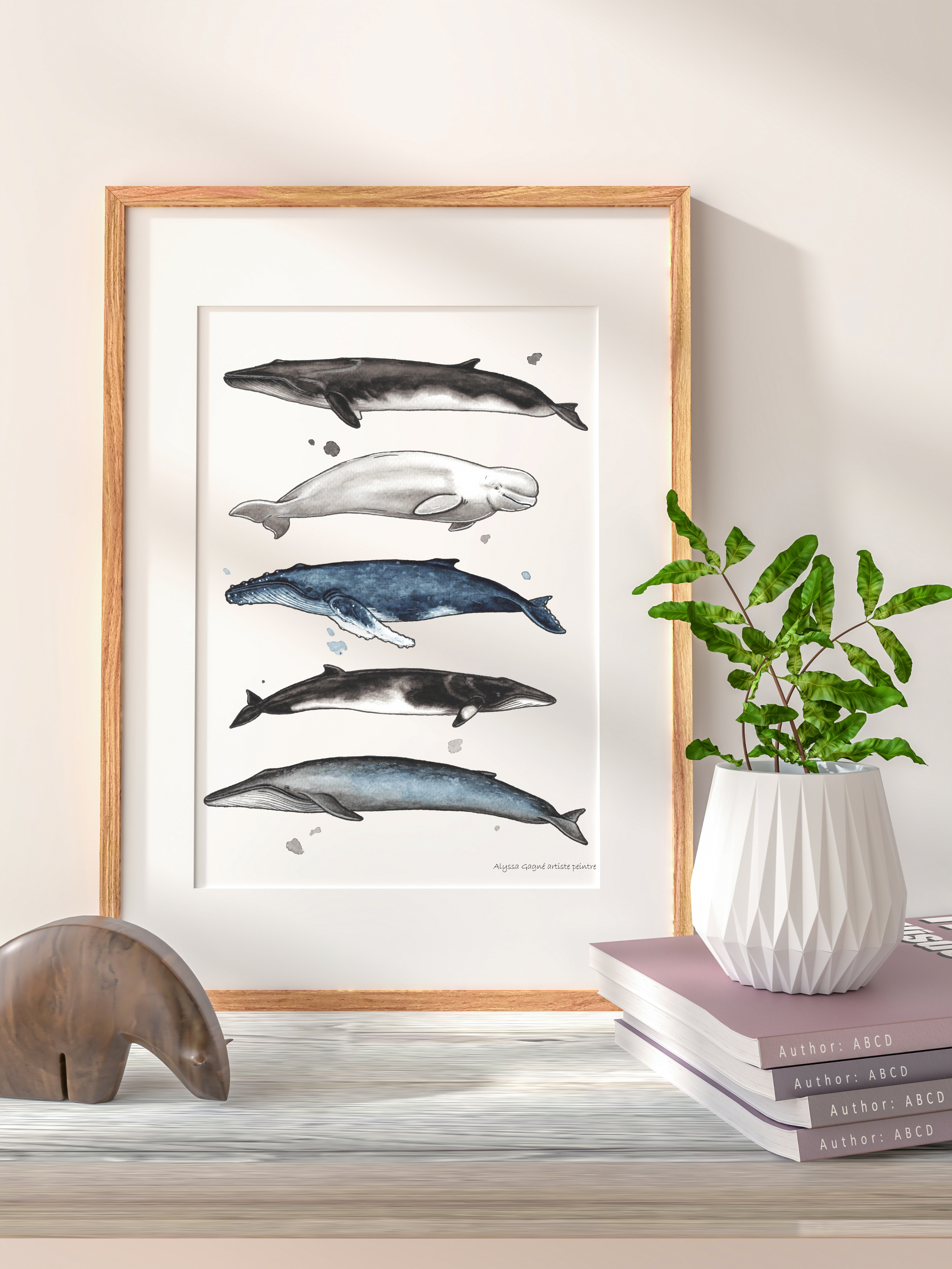Affiche 5 Baleines populaires