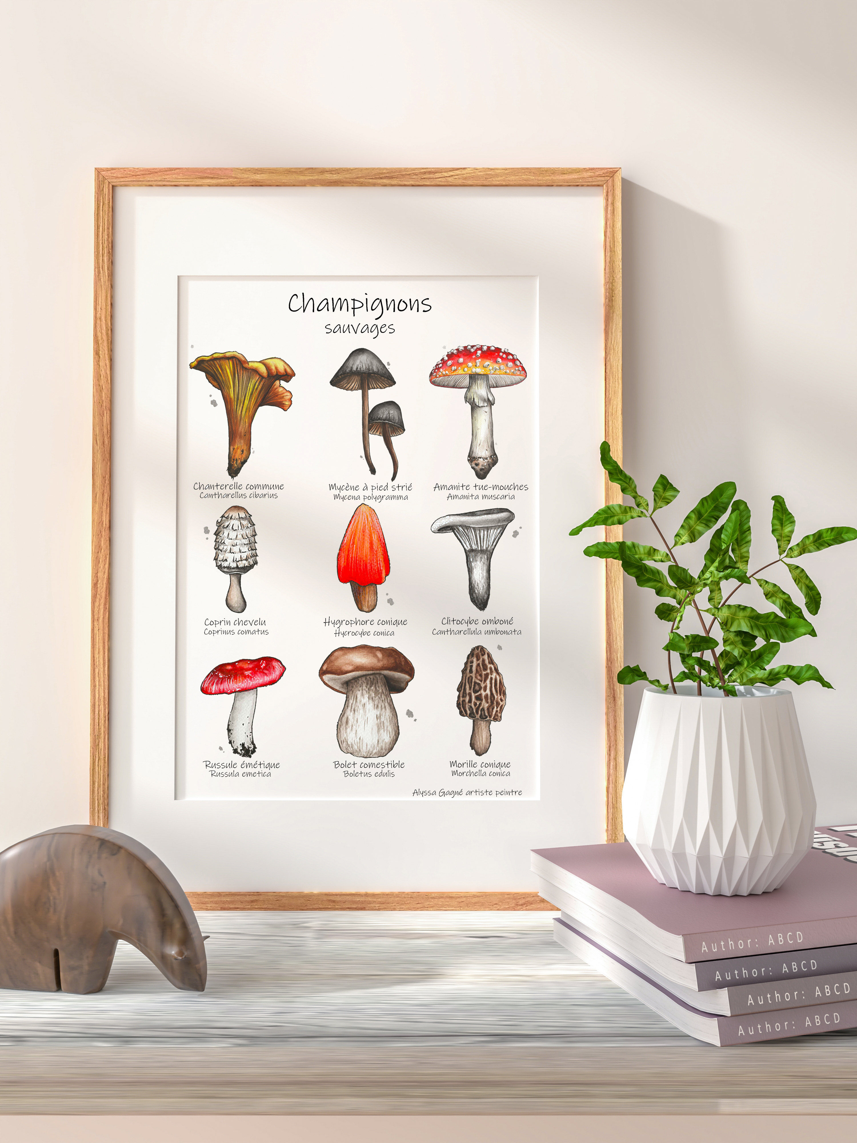 Affiche Champignons sauvages
