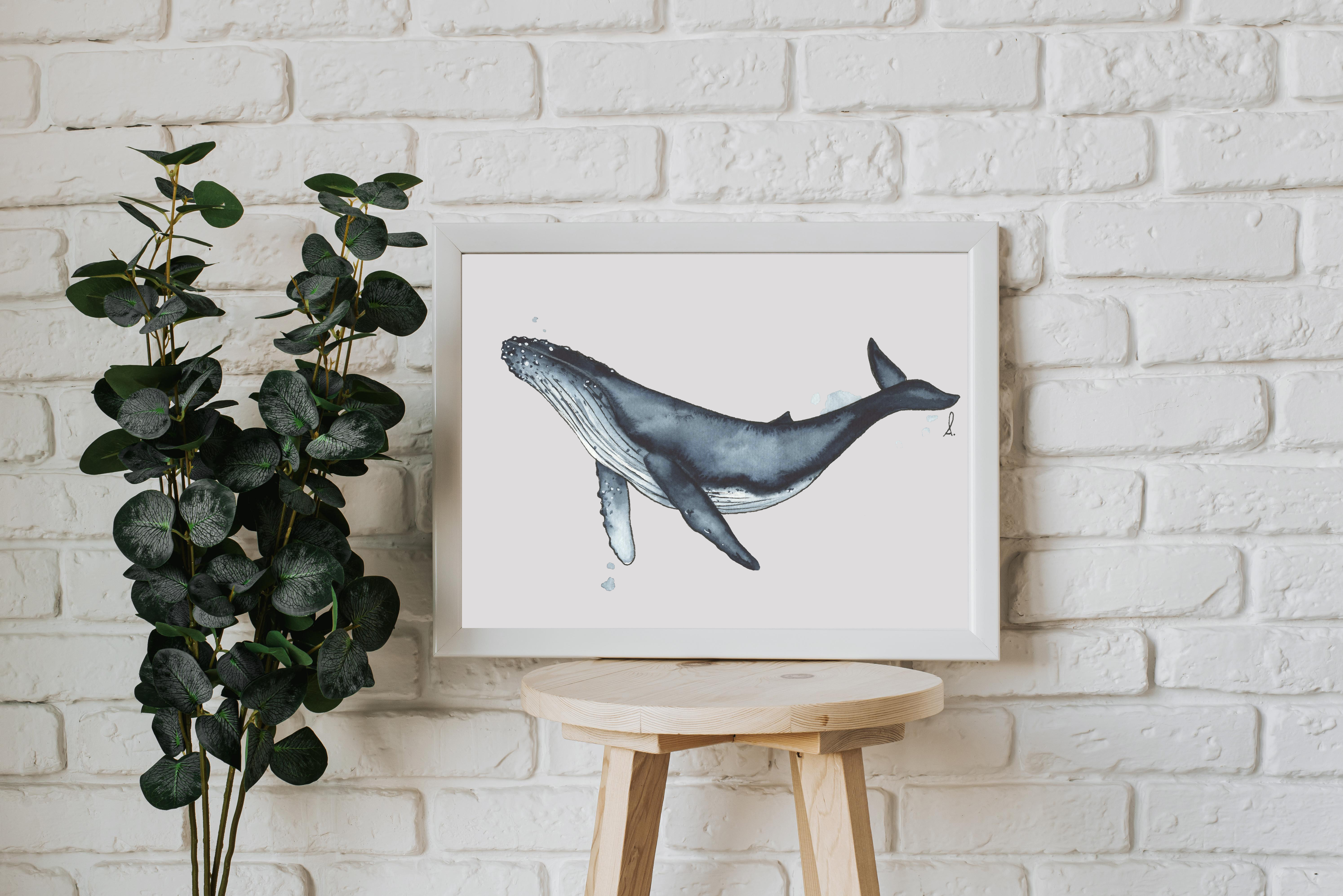 Affiche Baleine à bosse
