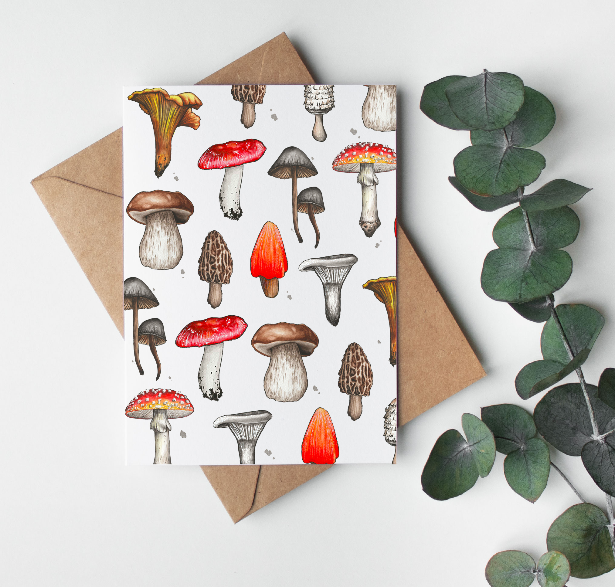 Carte champignons