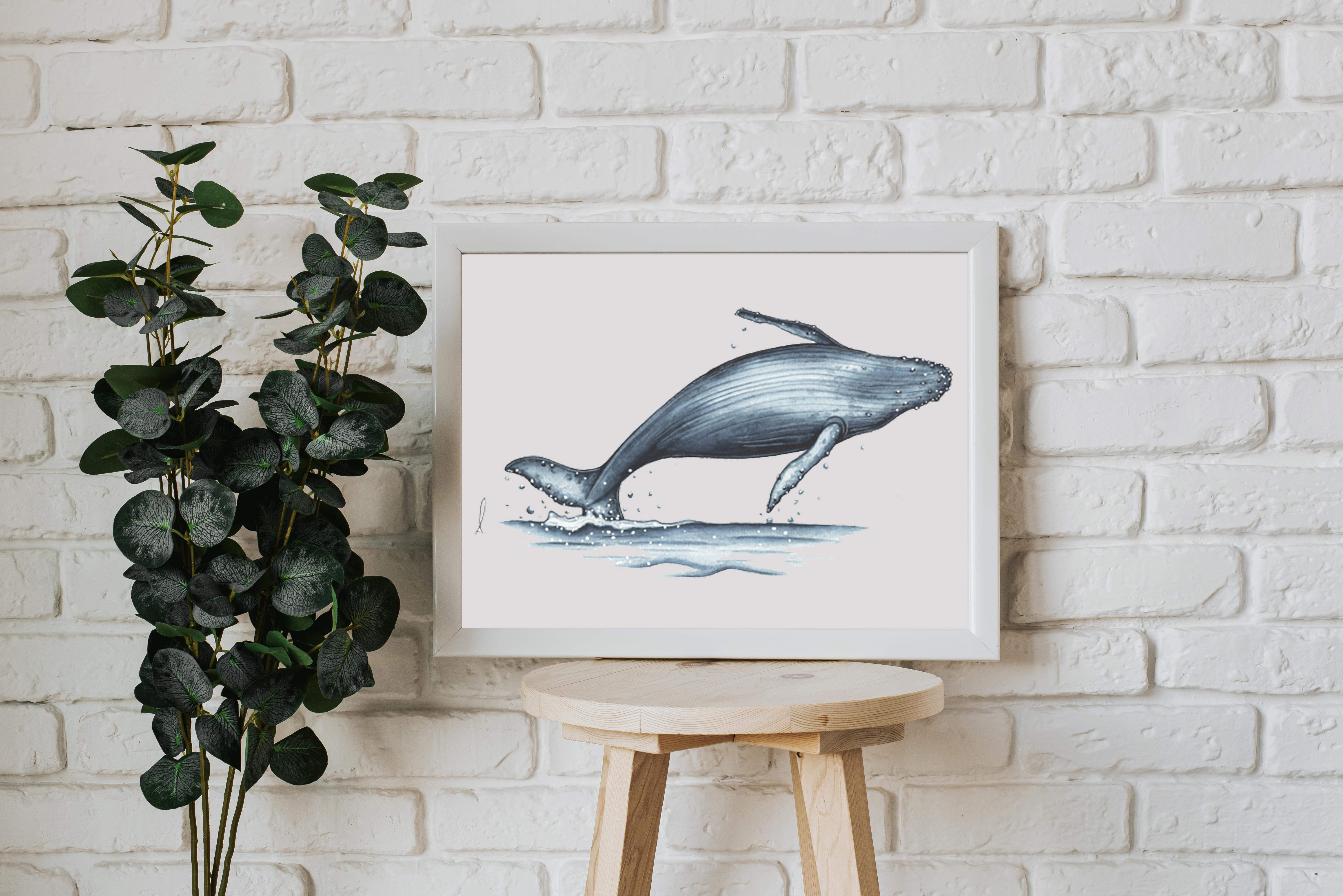 Affiche saut de baleine