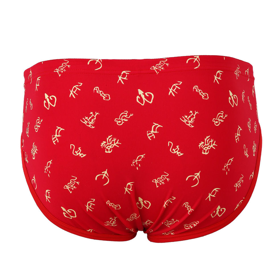 Thumbnail: Oracle Bones Limited Edition Series D Brief