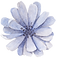 Blue Flower Front