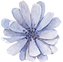 Fleur aquarelle bleue