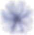 Frente flor azul