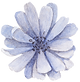 Blue Flower Front