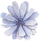 Frente azul de la flor