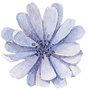 Blauwe Bloem Receptie