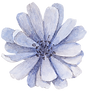 Blauwe Bloem Receptie