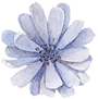 Blue Flower Front