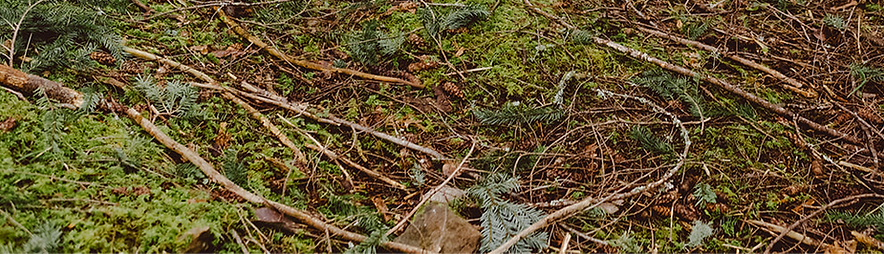 102-bob & vanessa, journals_3032-250304_websize_edited.png