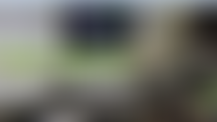 MEIA Application Extension