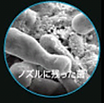 Screenshot_20220906-112648.png