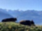 montagne_IMG_4024.jpg