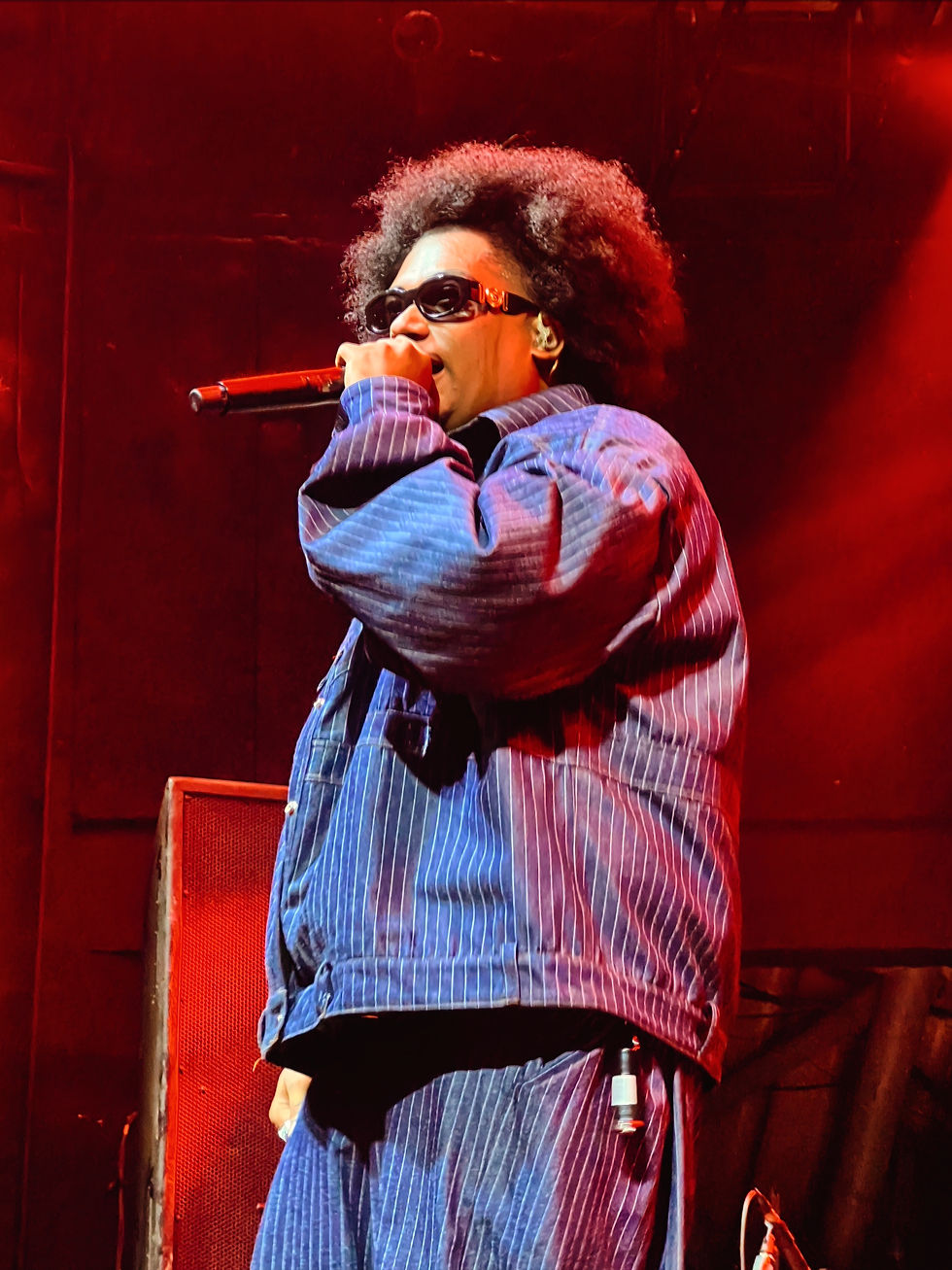 Show do Leall no Rio de Janeiro por Dam Victorelli.JPG