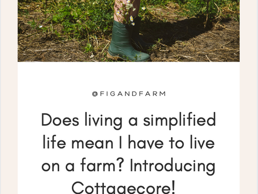 Ep. 15: Does living a simplified life mean I have to live on a farm? Introducing Cottagecore!