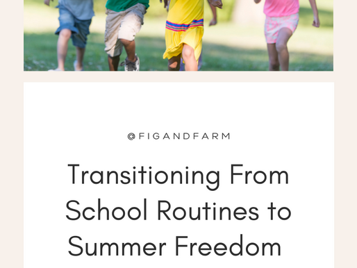 BONUS EPISODE: Transitioning From School Routines to Summer Freedom