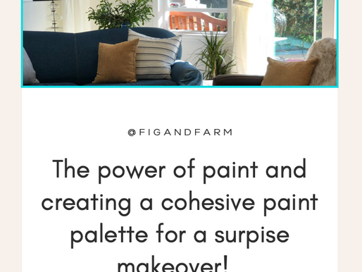 Ep. 13: The power of paint and creating a cohesive color palette for a surprise makeover!
