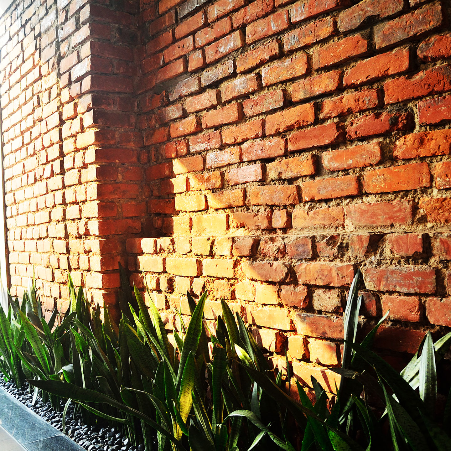 green architecture ,tropical design design by square in kolkata