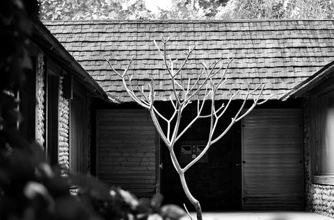 green and sustainable architecture