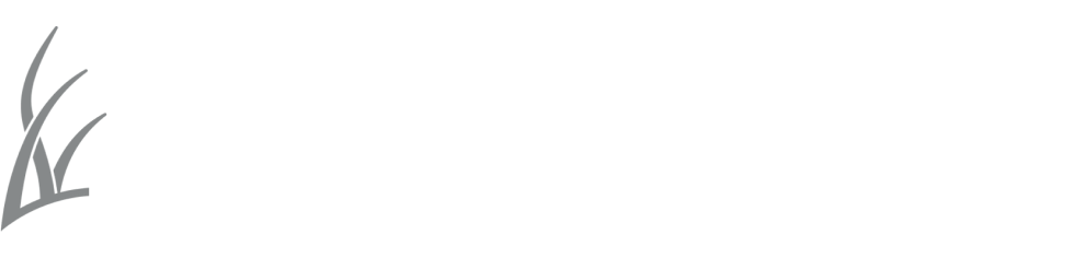 Haybeach