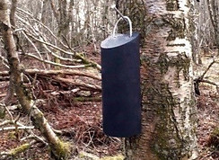 Lunar Bat Boxes Lunar Micro Lunar Environmental