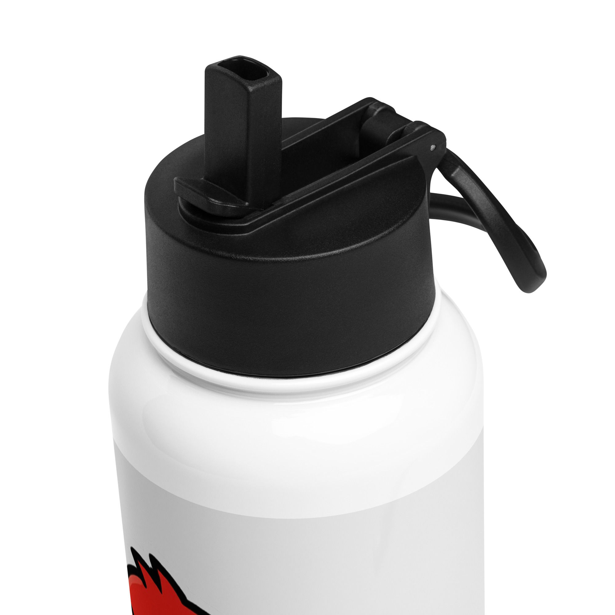Stainless steel water bottle with a straw lid