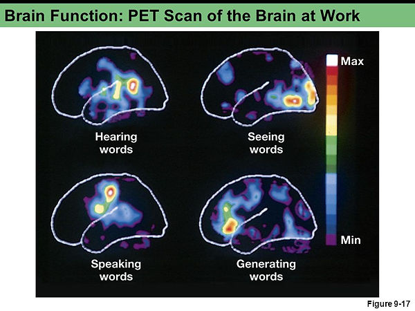 hearing seeing speaking generating words