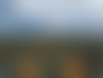 Tigerline Bush Shirt & Vellies: 2 Weeks of Dust, Sweat & Zero Wear