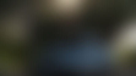 The S56 Mpongolo Loop: Lions, Ele Umbrellas & 2,000+ Buffalo