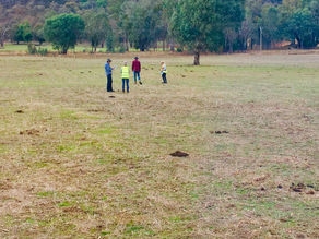 Government Audits Carbon Farming Project