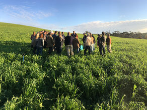 A world first announcement on soil carbon farming on its way!