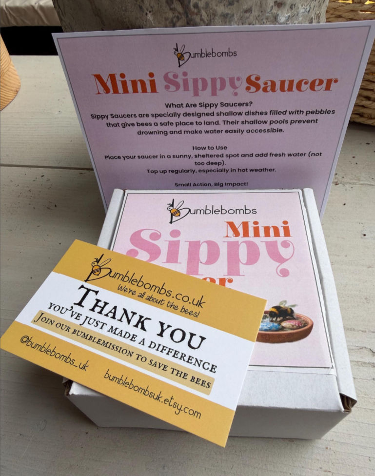 Thumbnail: Mini Sippy Saucer - create safe oasis spaces for the bees