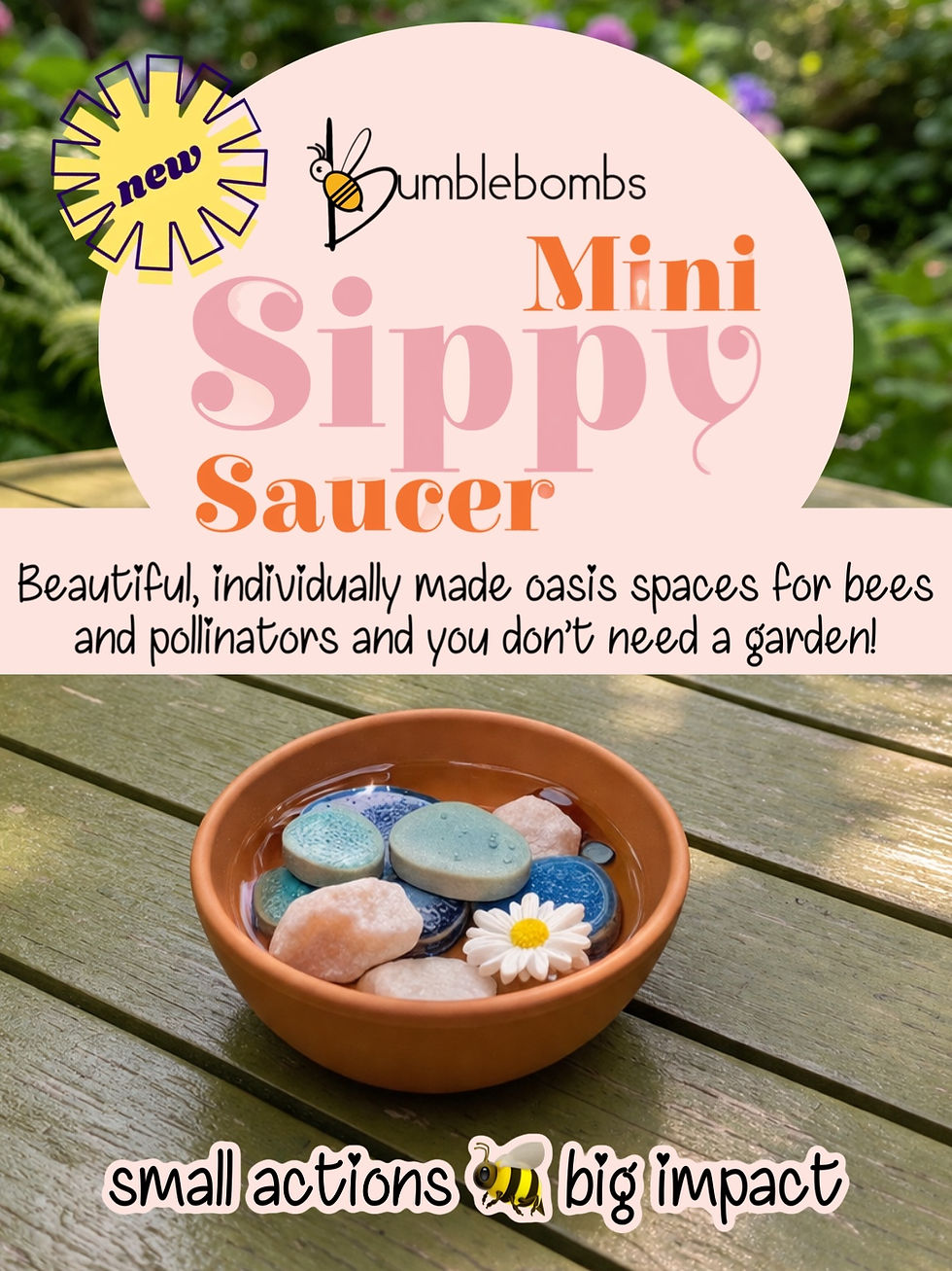 Bazaart_95948C87-7FE7-4CE5-8F70-2DBD6AACC801